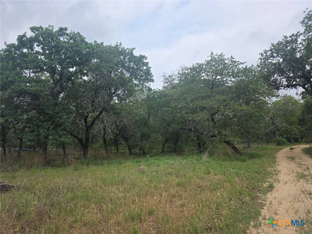 Seguin, TX 78155,1060 Vivroux Ranch RD