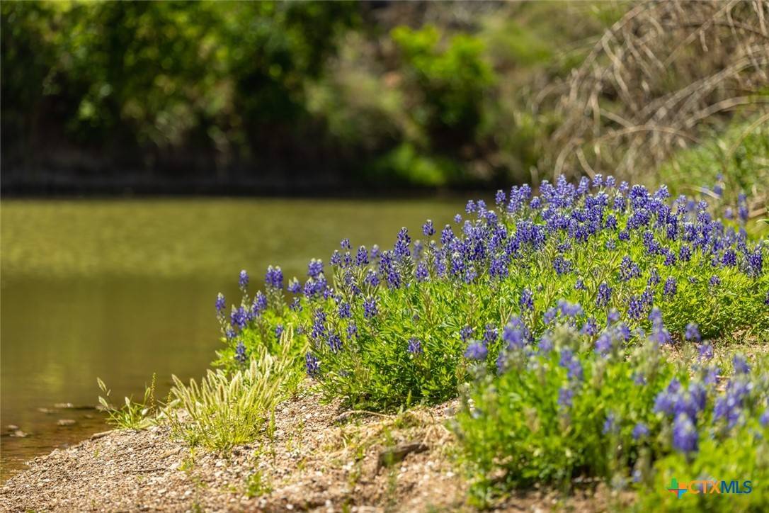 Brownwood, TX 76801,17573 CR 229