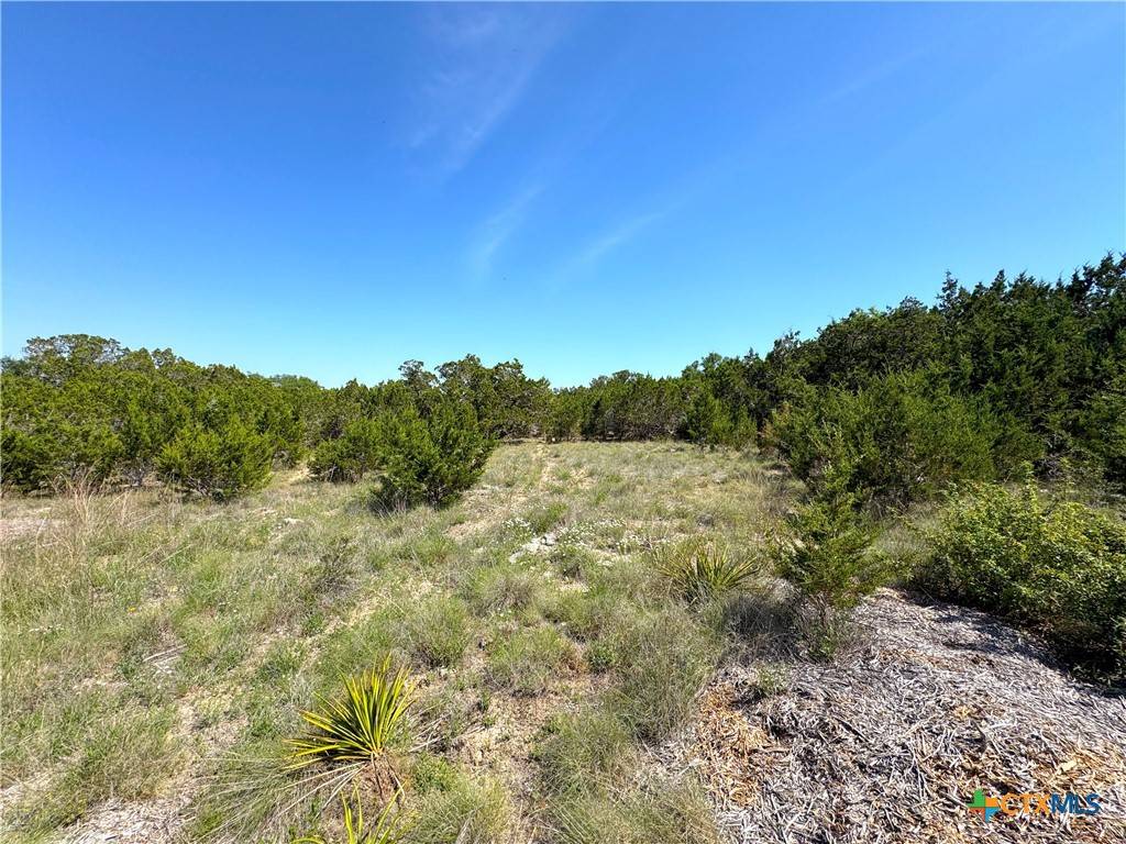 Canyon Lake, TX 78133,0 TBD San Salvadore