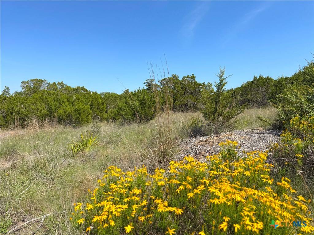 Canyon Lake, TX 78133,0 TBD San Salvadore