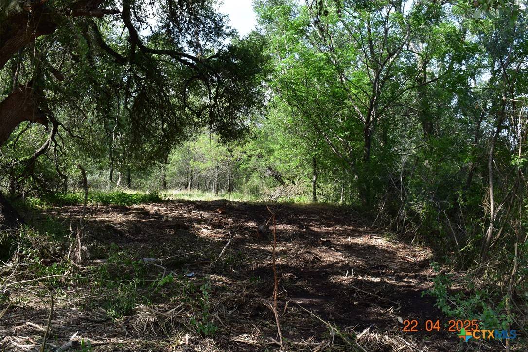 New Braunfels, TX 78130,240 Caney Creek RD