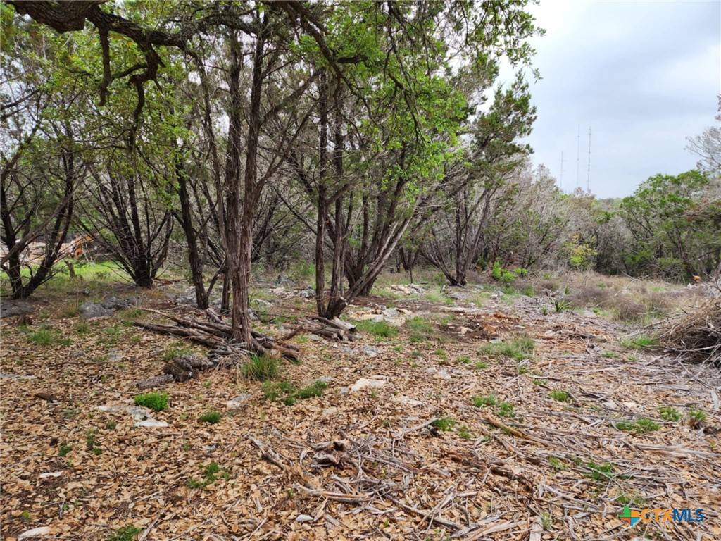 New Braunfels, TX 78132,1745 Moon View DR