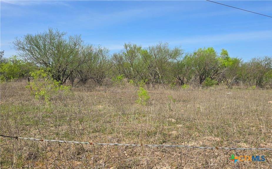 Goliad, TX 77963,TBD Spanish Grant Road