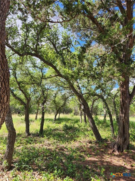 Fischer, TX 78623,11360 Fm 32