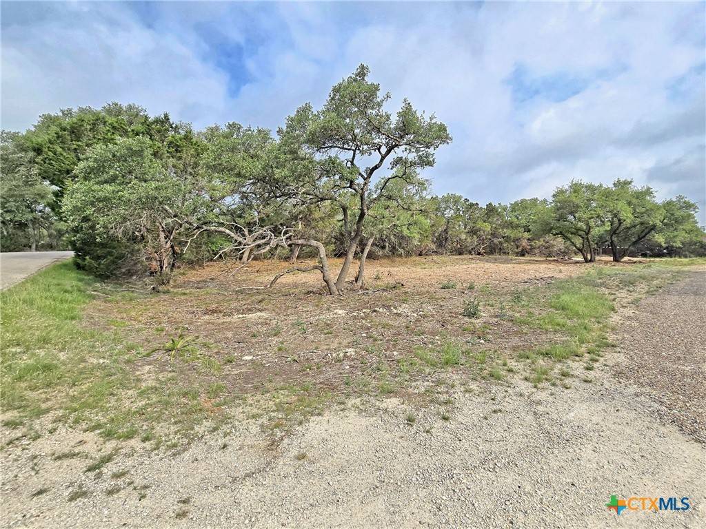 Canyon Lake, TX 78133,2237 Potters Creek RD