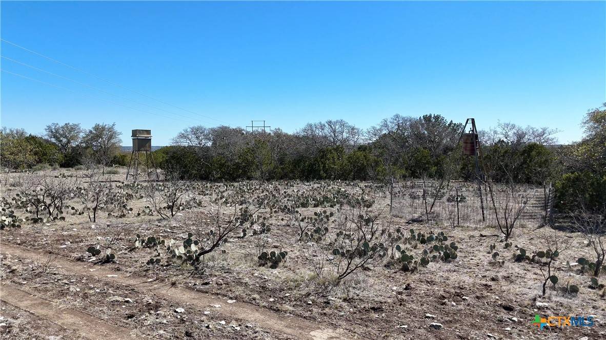 Menard, TX 76859,1098 Crabb Ln