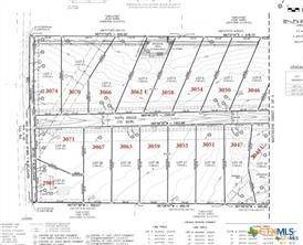 Seguin, TX 78155,3067 Vista Ridge