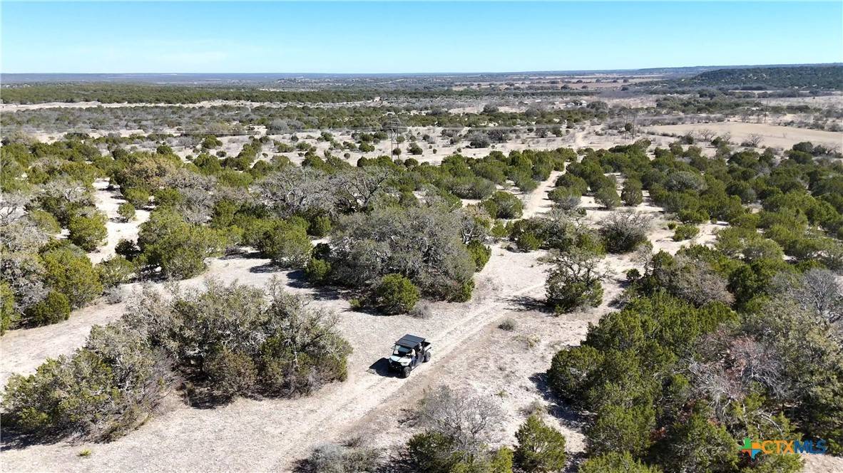 Menard, TX 76859,1098 Crabb Ln