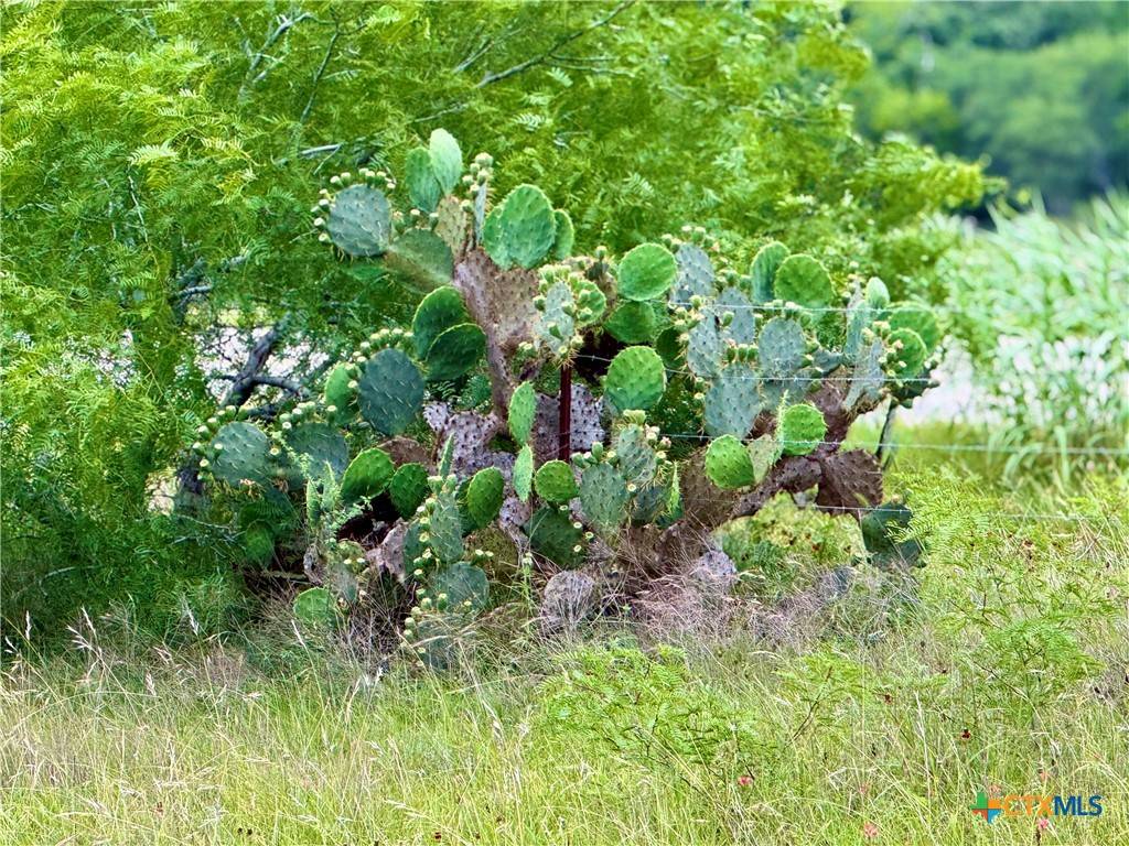 Smiley, TX 78159,TBD Tract Q FM 108