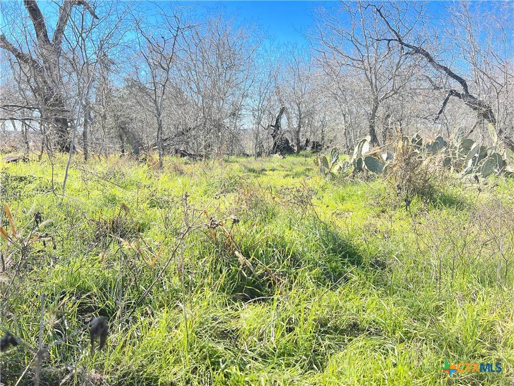 Luling, TX 78648,5912 Tenney Creek RD