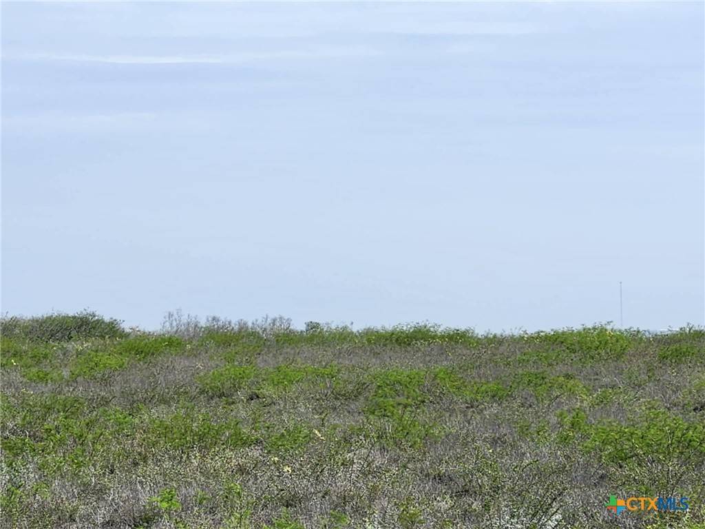George West, TX 78022,00 Live Oak Spur