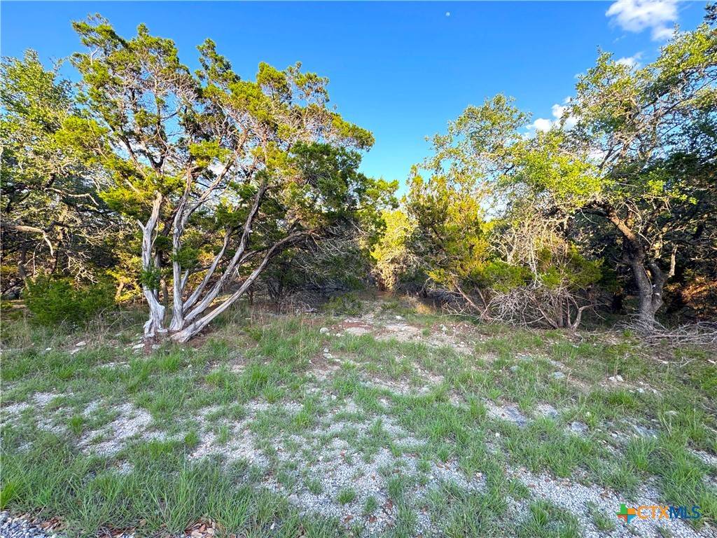 Canyon Lake, TX 78133,1191 Hallmark