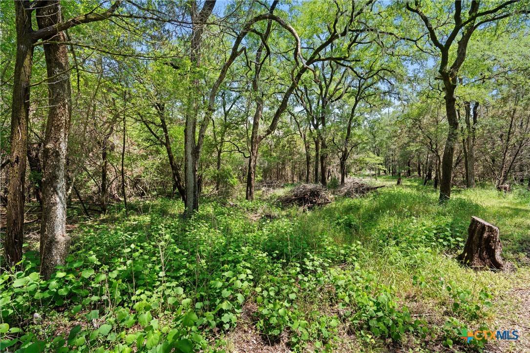 San Marcos, TX 78666,419 Valley View West RD