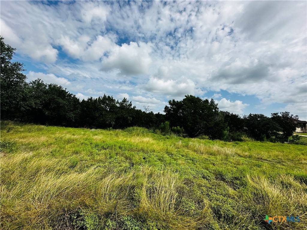 Killeen, TX 76549,156 Red Maple CIR