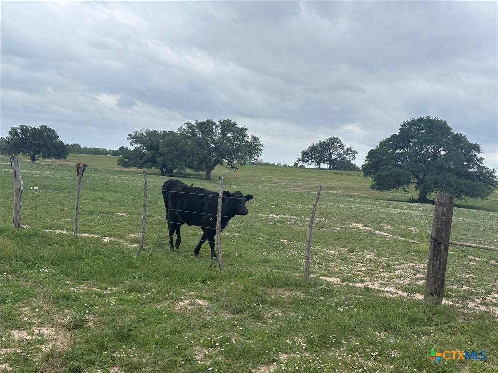 Poteet, TX 78065,TBD Tract 1 W Gates Valley RD