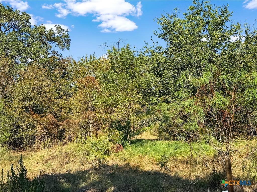 Flatonia, TX 78941,5108 Cowan Road