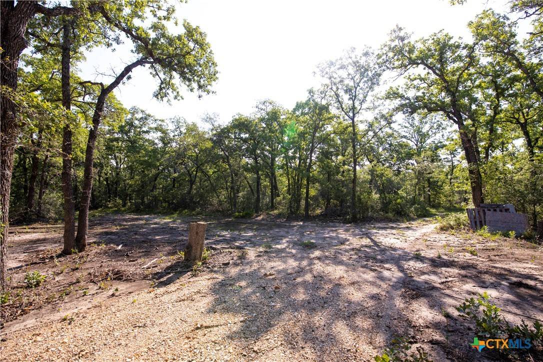 Buckholts, TX 76518,1168 CR 405