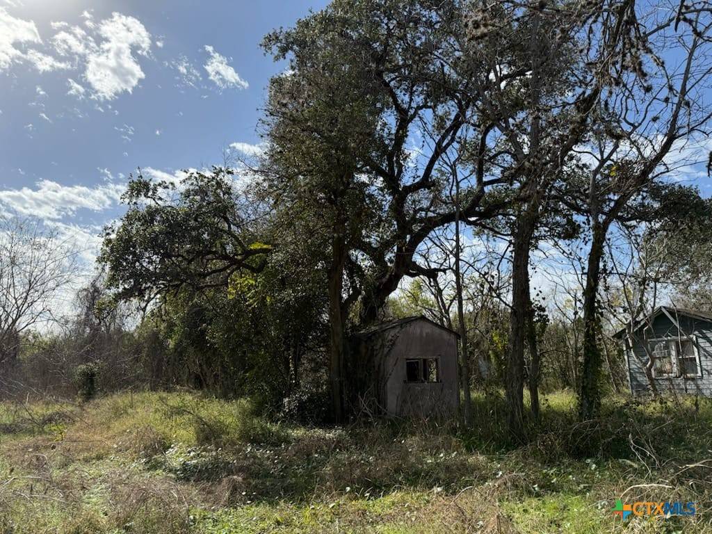 Goliad, TX 77963,517 E Franklin ST