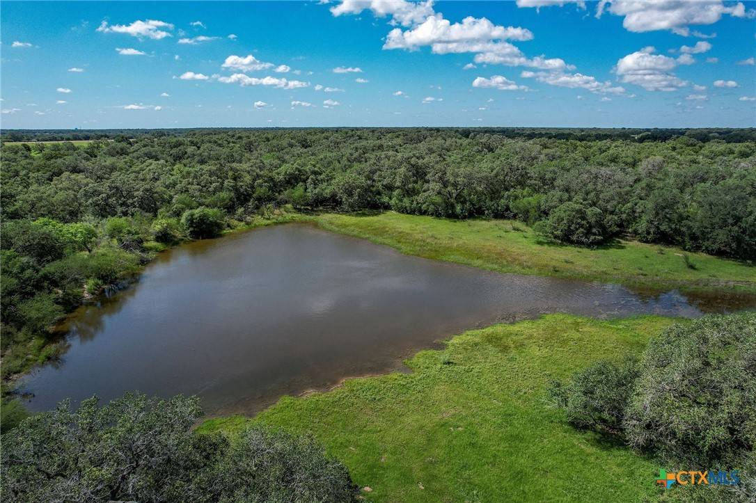 Goliad, TX 77963,6694 Danforth RD