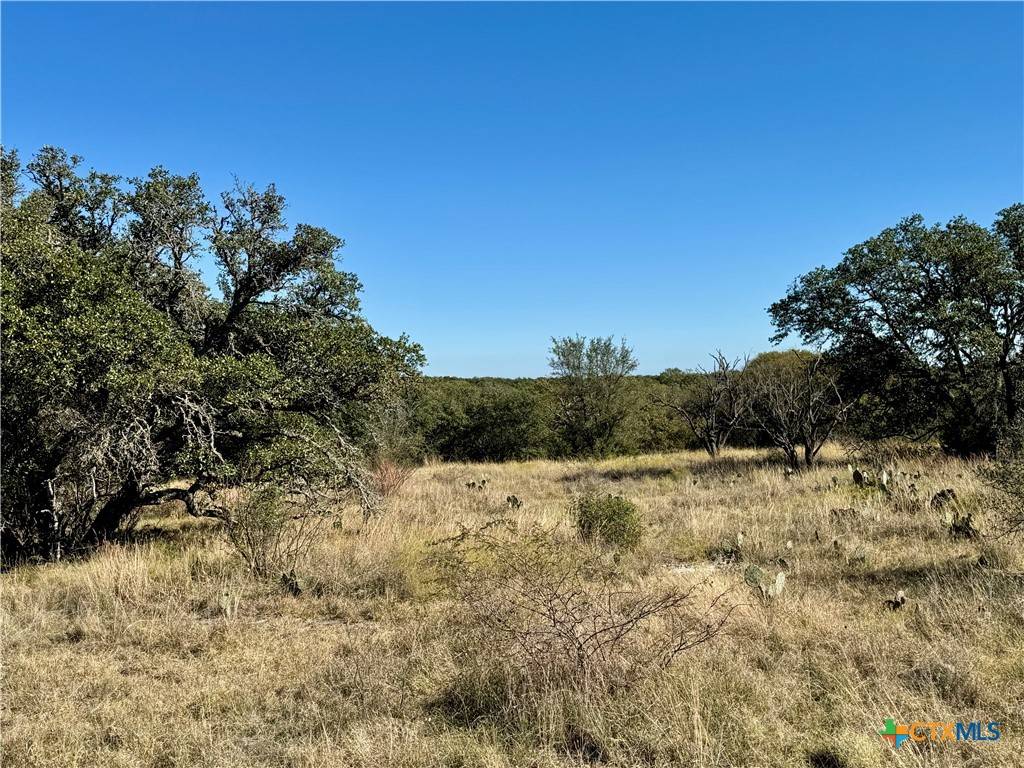 San Saba, TX 76877,Lot 37 Buck Run Rd.