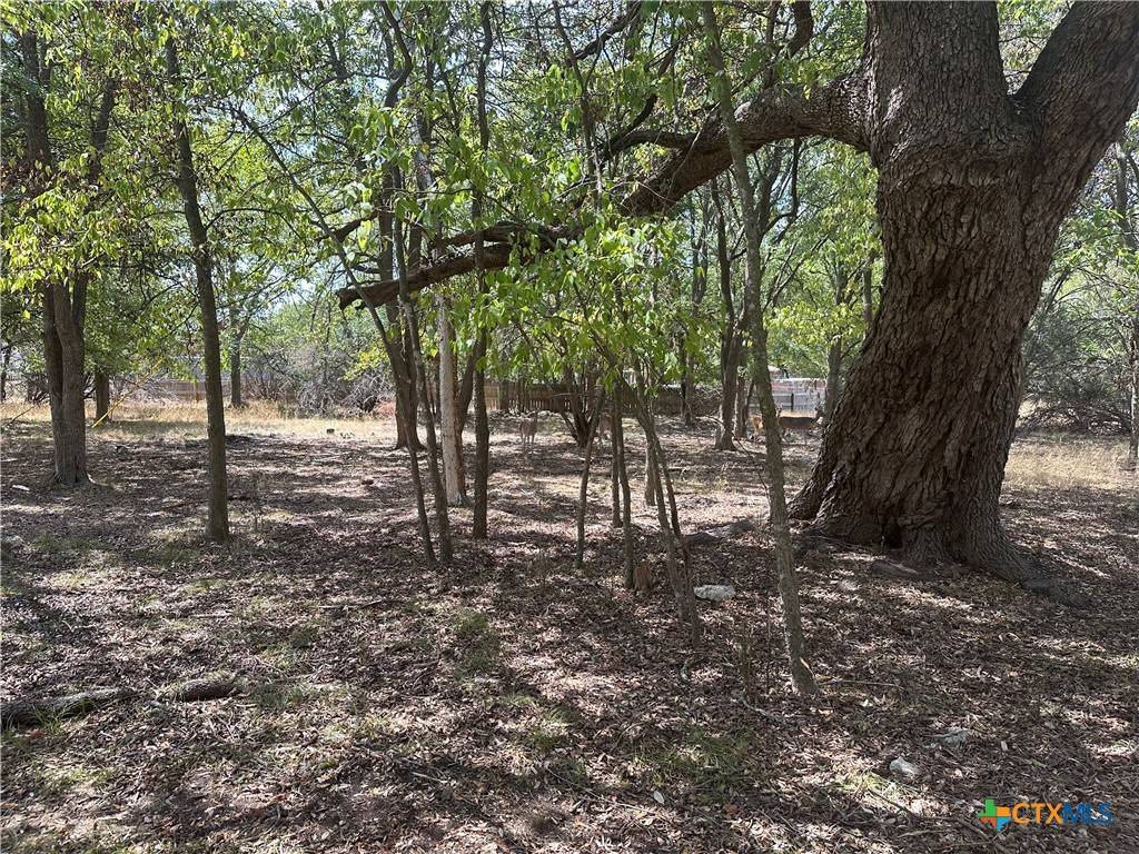 Morgans Point Resort, TX 76513,1 Dog Wood CT