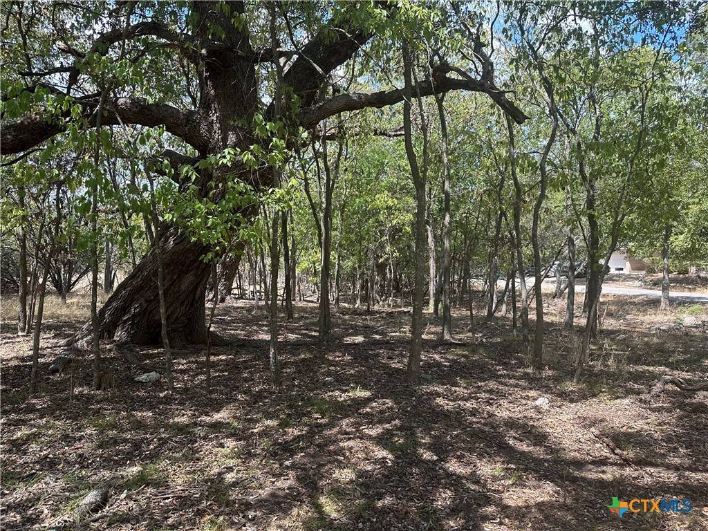 Morgans Point Resort, TX 76513,1 Dog Wood CT