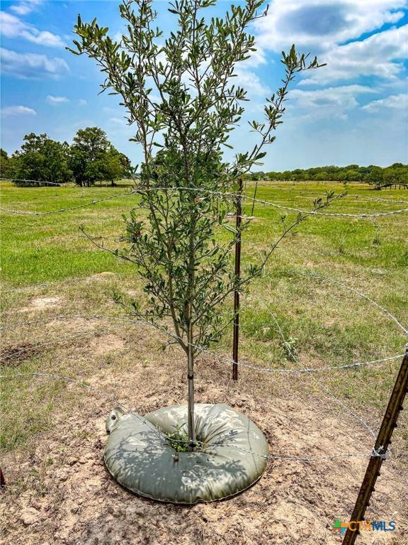 Hallettsville, TX 77964,000 County Road 128