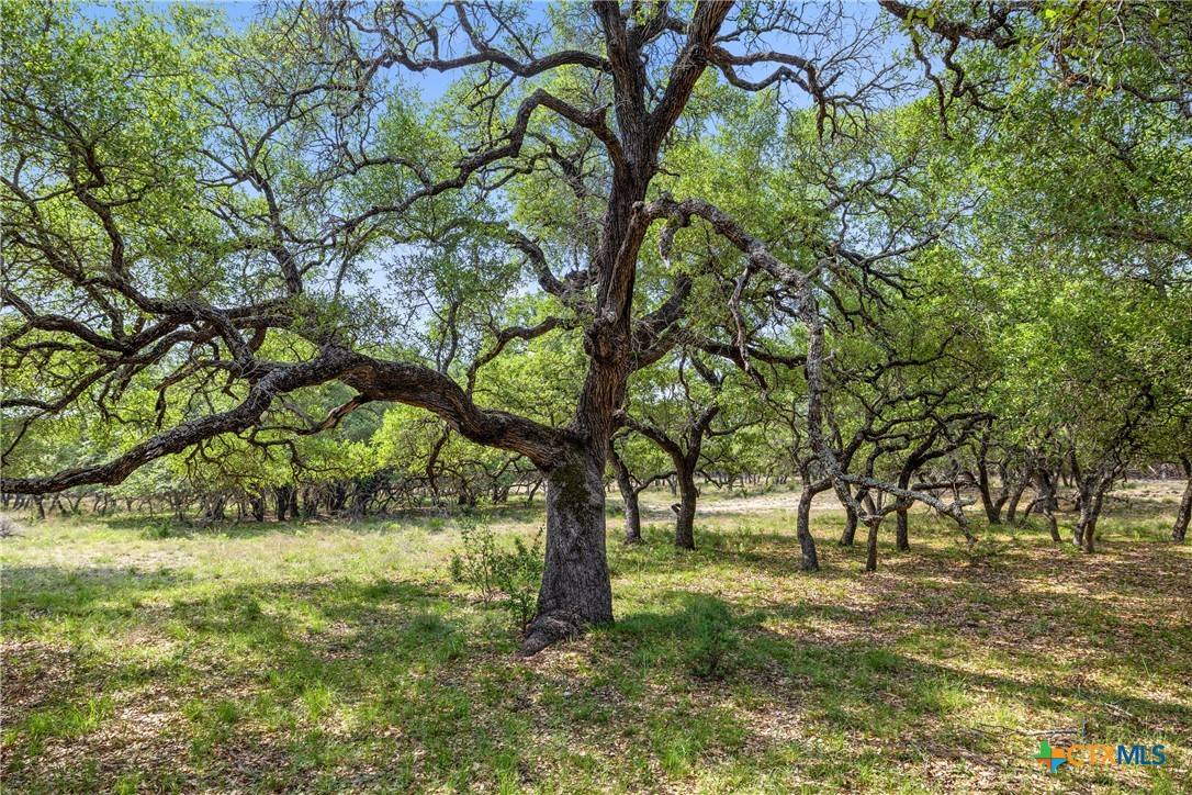 Lampasas, TX 76550,423 County Road 1010