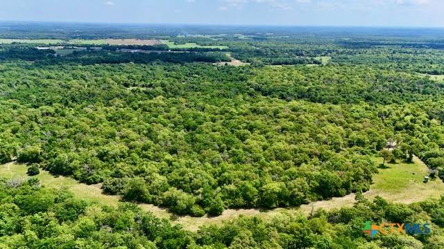 Franklin, TX 77856,2876 Grant Prairie Rd (+/-75.7 acres)