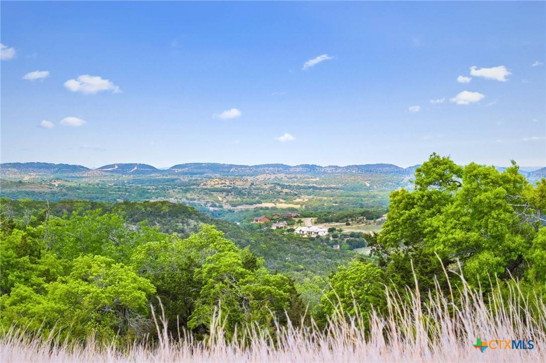 Blanco, TX 78606,TBD Black Buck CV