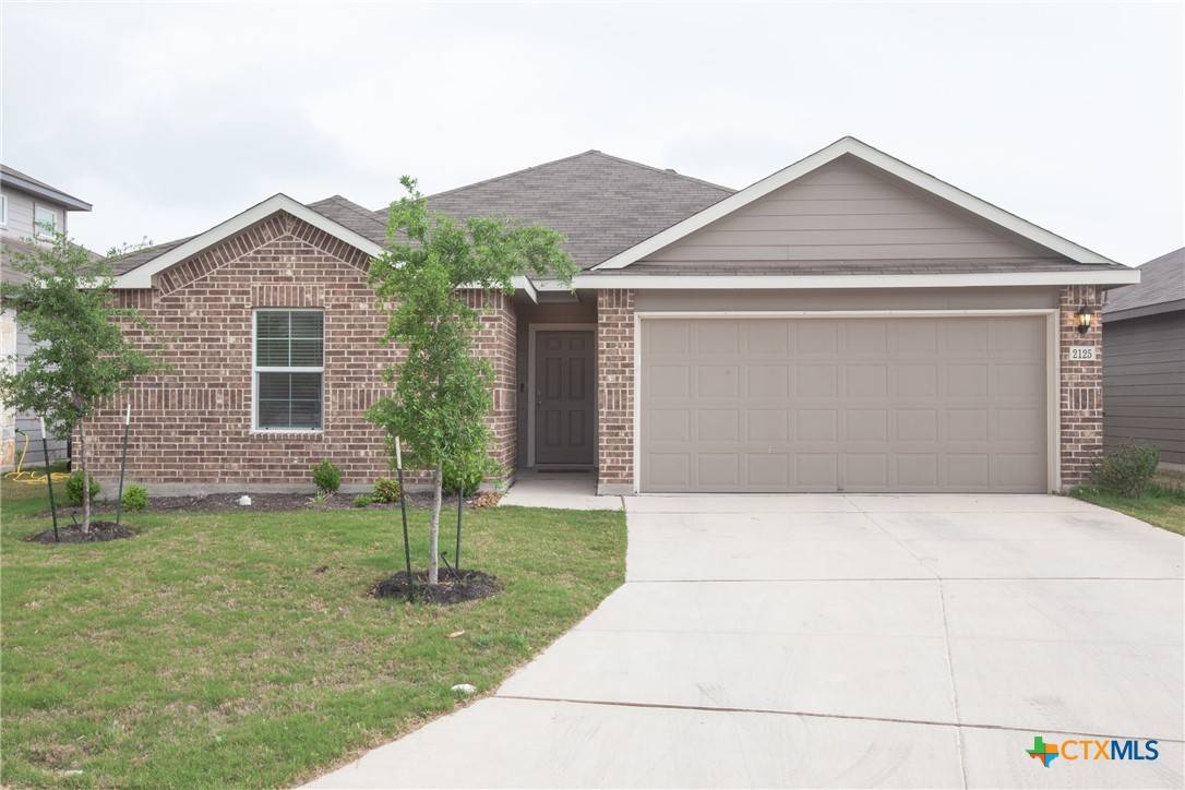 New Braunfels, TX 78130,2125 Silver Maple