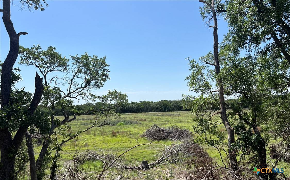 Blanco, TX 78606,TBD Narrows RD