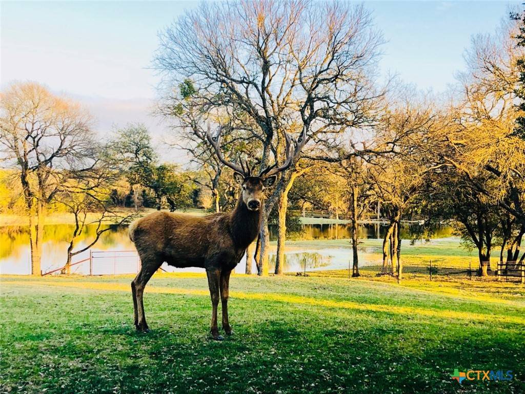 Lampasas, TX 76550,6101 County Road 208