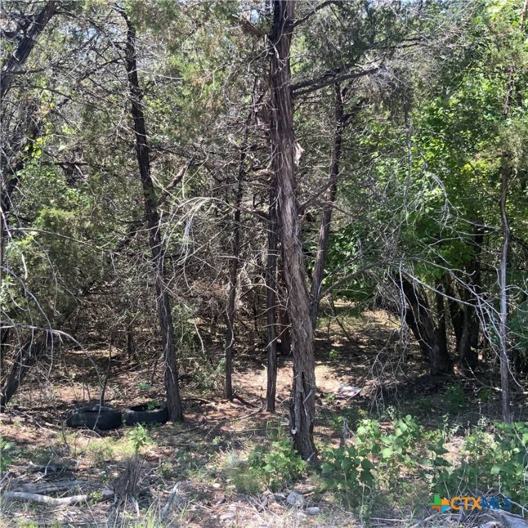 Belton, TX 76513,4105 Sherwood DR