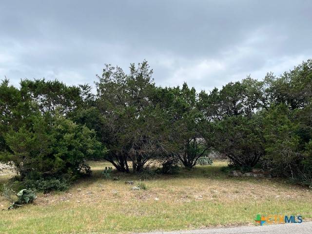 Canyon Lake, TX 78133,1464 Canyon Edge