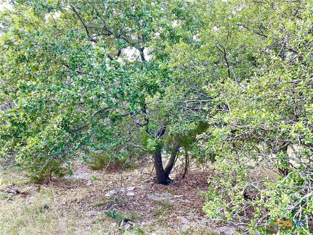 Belton, TX 76513,63 Cedar Trails DR