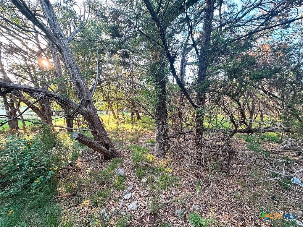 Belton, TX 76513,24 Quail LOOP