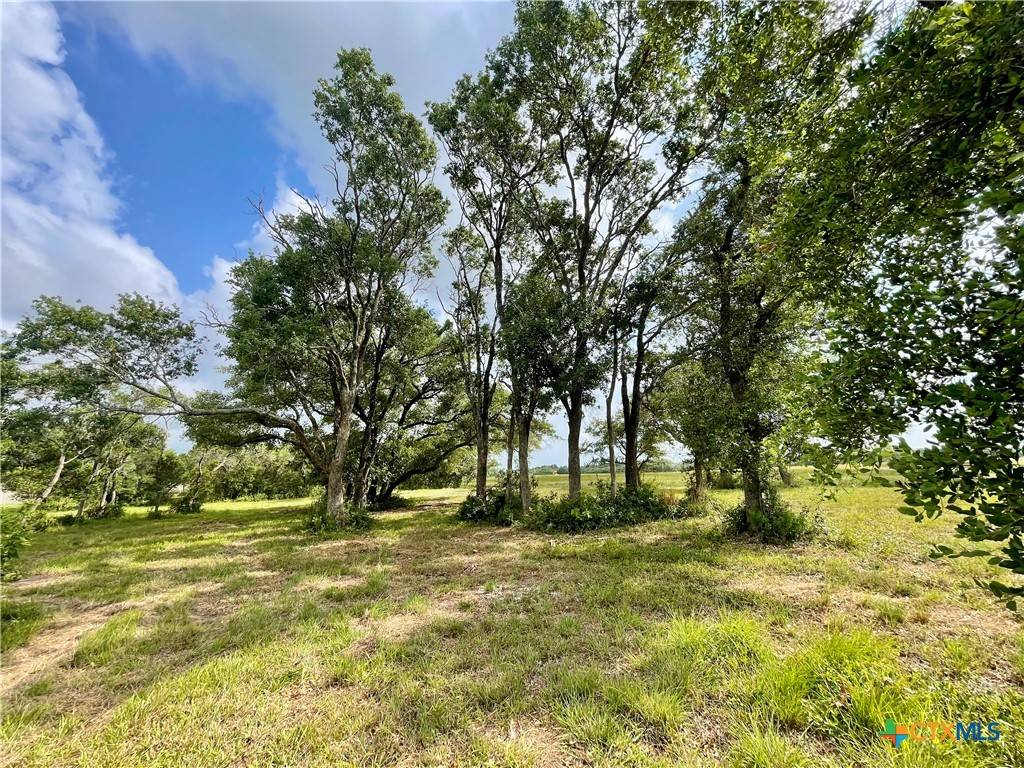 Seadrift, TX 77983,67 W Dewberry LN