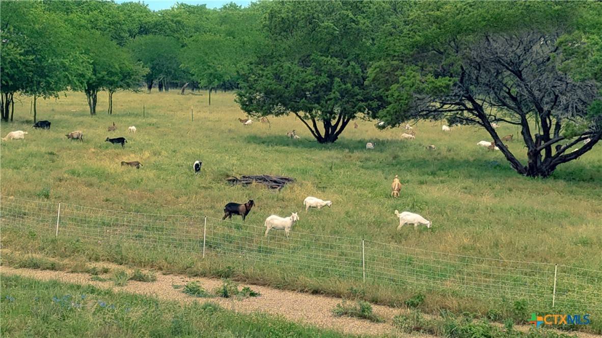 Moody, TX 76557,15920 Fm 107