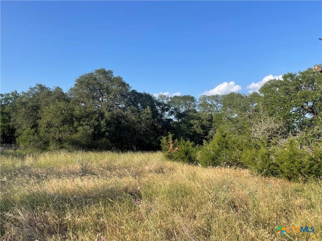 New Braunfels, TX 78132,701 Cambridge DR
