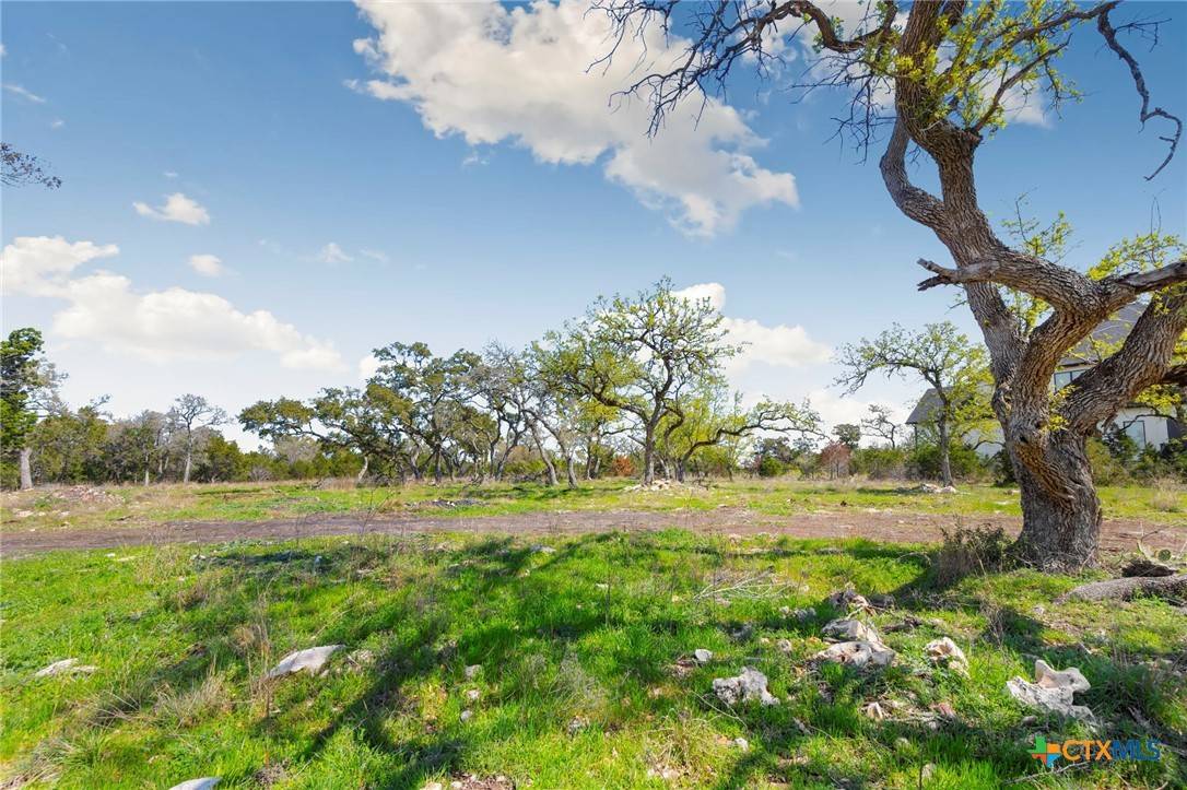 New Braunfels, TX 78132,1275 Smoky LOOP