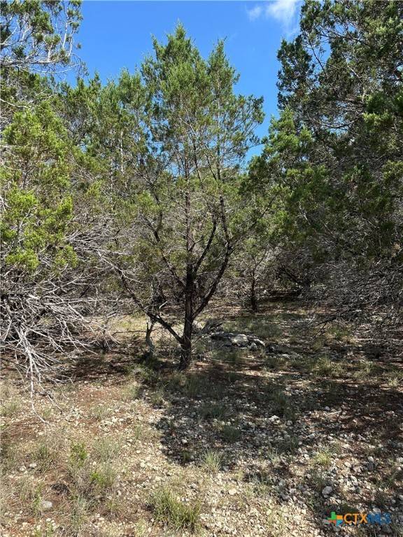 Spring Branch, TX 78070,121 Agarita DR