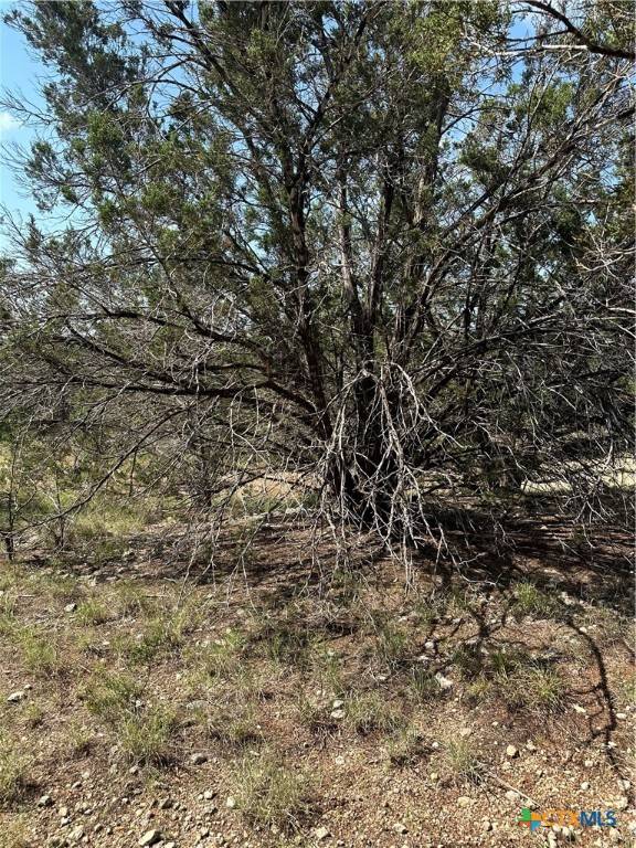 Spring Branch, TX 78070,121 Agarita DR