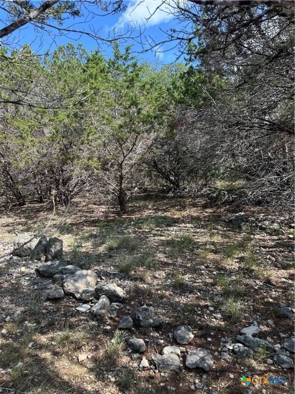 Spring Branch, TX 78070,121 Agarita DR