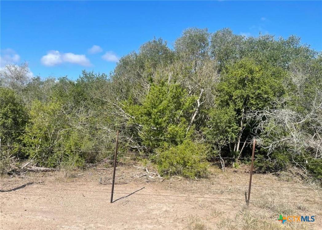 Goliad, TX 77963,3626 Old Goliad RD