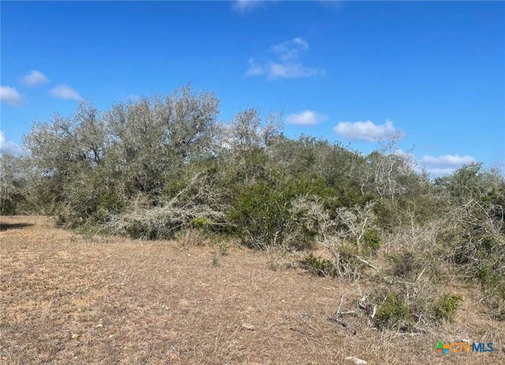 Goliad, TX 77963,3626 Old Goliad RD