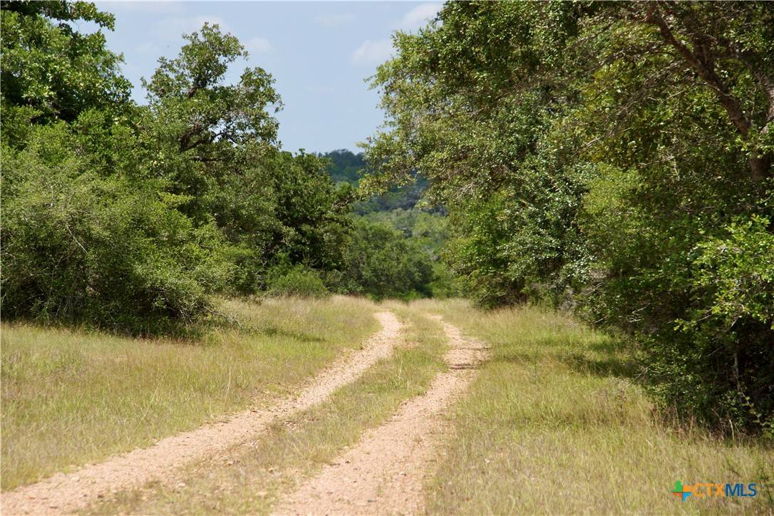 Thomaston, TX 77954,000 Fordtran Rd Tract 4