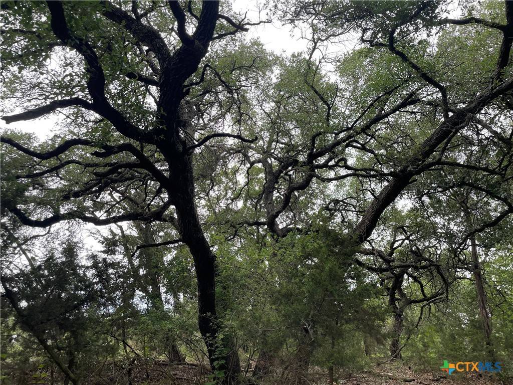 Spring Branch, TX 78070,1021 Santa Fe TRL