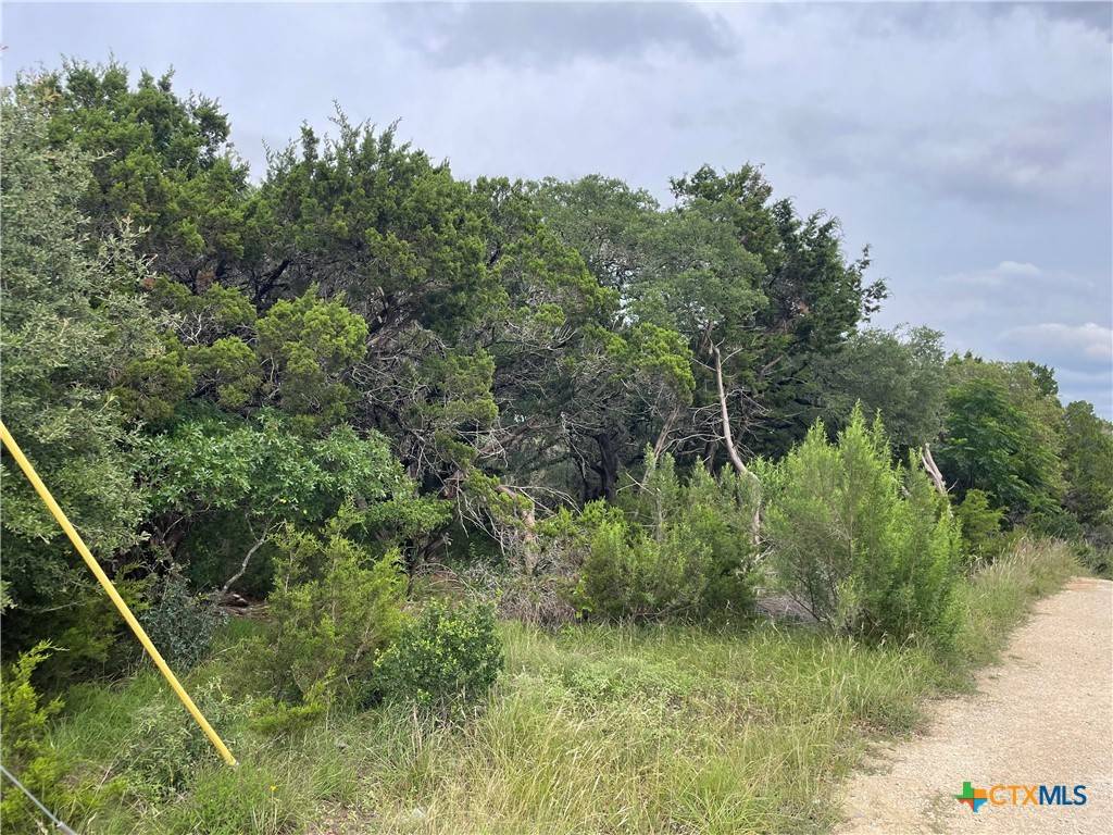 Spring Branch, TX 78070,1021 Santa Fe TRL