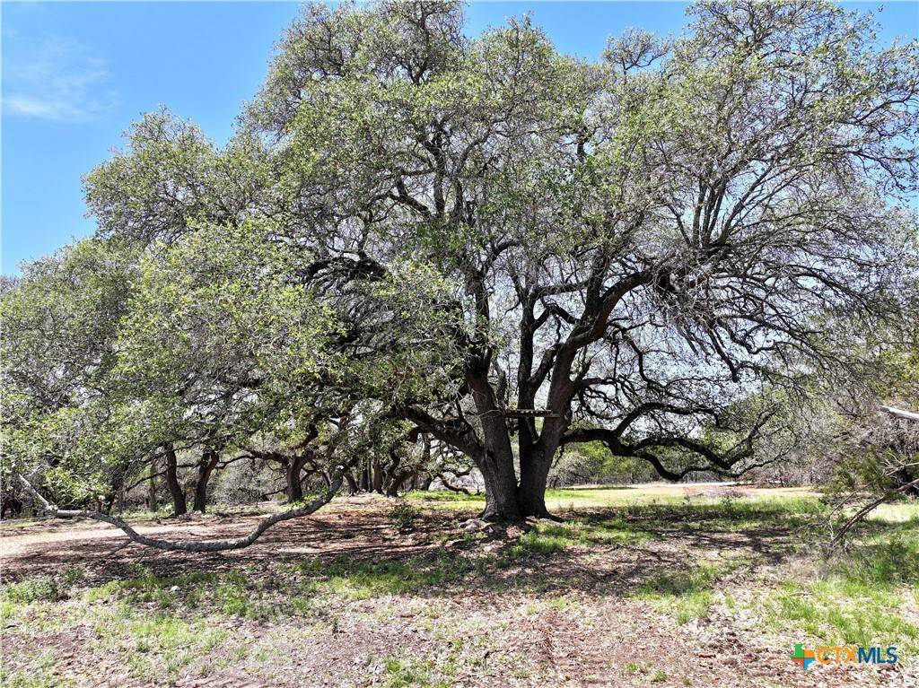 Lampasas, TX 76550,285 Donnie DR